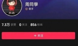 爆料的新闻如何发抖音,抖音新功能引发热议，揭秘背后真相！